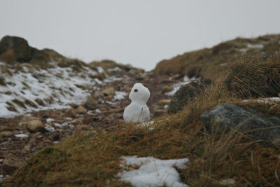 Snowman on rock by mountain path