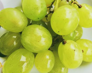 Close-up of fruits on wooden table