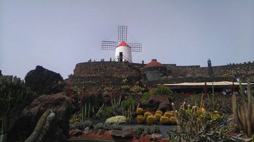 Red flowering plants by building against clear sky