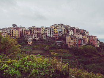 Residential district against sky