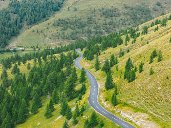 High angle view of road amidst trees