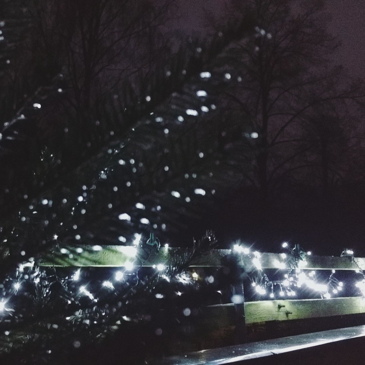 LOW ANGLE VIEW OF ILLUMINATED TREES IN CITY