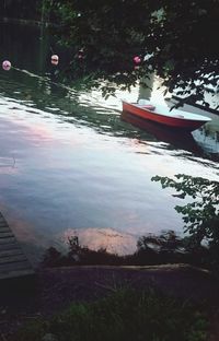 Reflection of trees in water