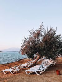 Scenic view of beach against clear sky