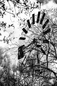 Low angle view of trees against sky