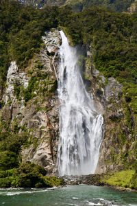 Scenic view of waterfall in forest