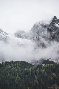 Scenic view of forest against sky