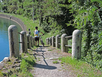 Man amidst trees in park