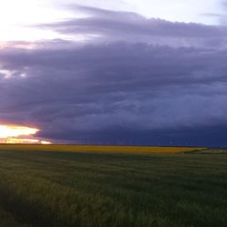 Scenic view of field against cloudy sky