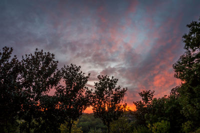 Low angle view of silhouette trees against sky