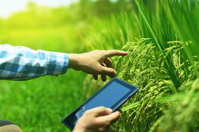 Midsection of person holding mobile phone in field