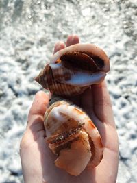 Close-up of hand holding ice cream cone