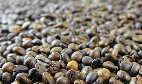 Full frame shot of coffee beans