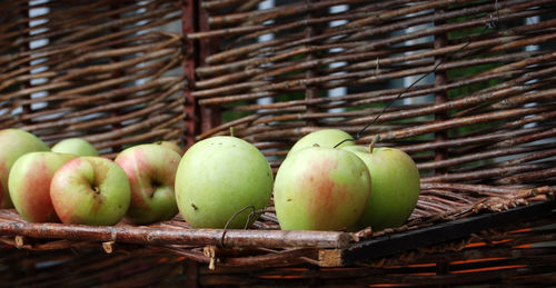 Close-up of fruits in basket