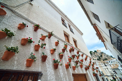 Low angle view of lanterns hanging on building