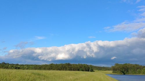 Scenic view of field against sky