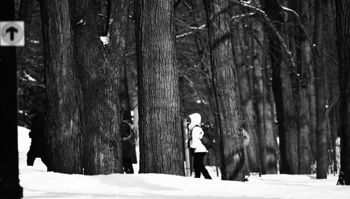 Rear view of man standing amidst trees in forest