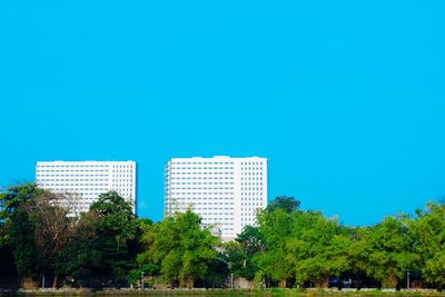 Trees in city against clear blue sky