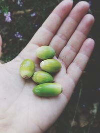 Close-up of hand holding fruit