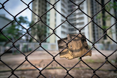 Close-up of padlock on chainlink fence