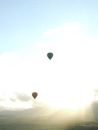 Hot air balloons flying in sky