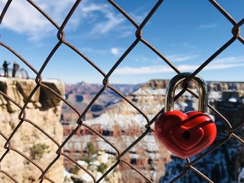 Close-up of padlocks on chainlink fence