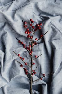 High angle view of red berries on bed