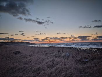 Scenic view of beach against sky during sunset