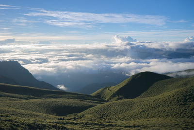 Scenic view of landscape against sky