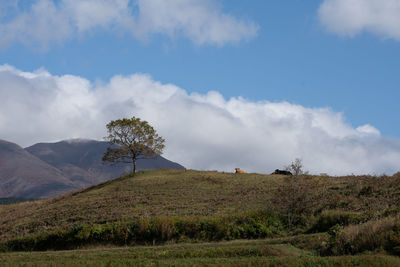 Scenic view of field against sky