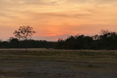 Scenic view of field against sky during sunset