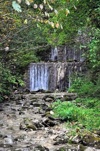 Scenic view of waterfall