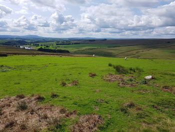 Scenic view of grassy field against cloudy sky