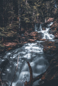 Water flowing through rocks in forest