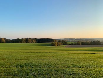 Scenic view of field against clear sky