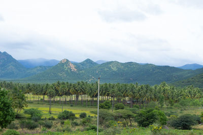 Scenic view of landscape against sky