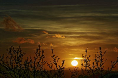 Silhouette of trees against sky at sunset