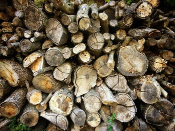 Full frame shot of logs in forest