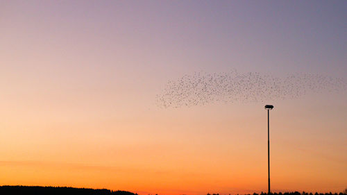 Silhouette birds flying against sky during sunset