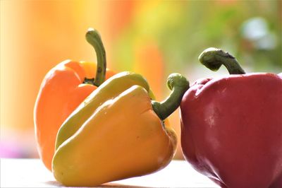 Close-up of red chili peppers on plant