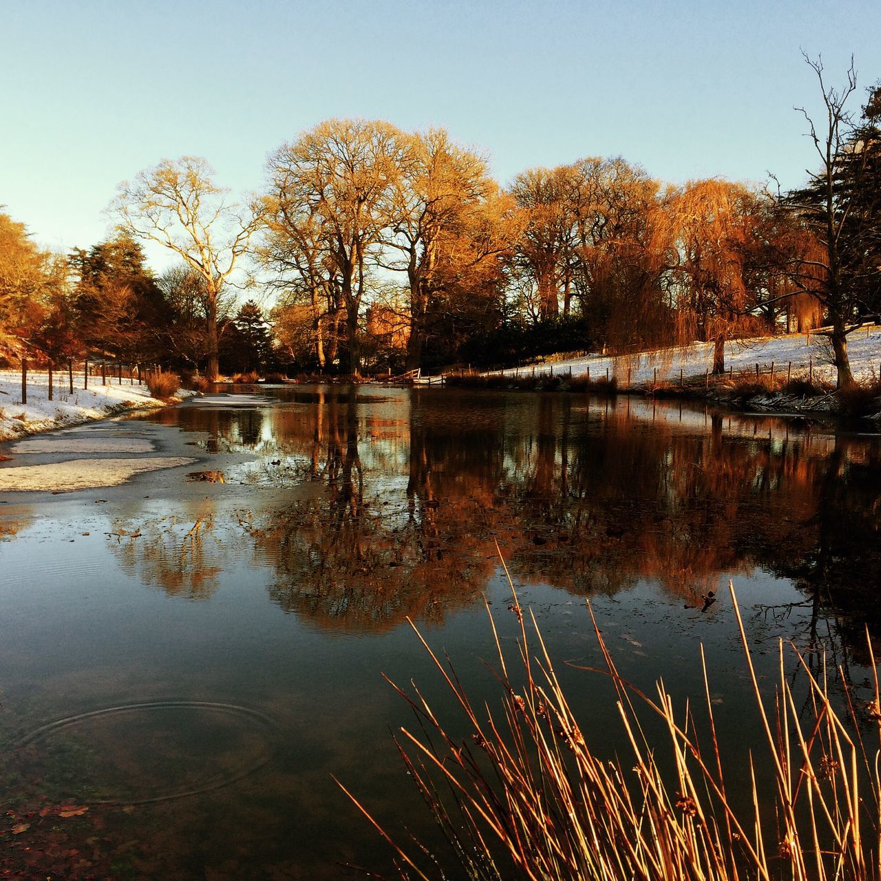 IPSWinter
