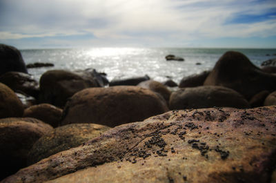 Close-up of pebbles on beach against sky