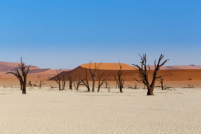 Scenic view of desert against clear blue sky