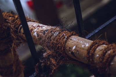 Close-up of rope tied on wood