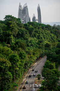 High angle view of road amidst trees