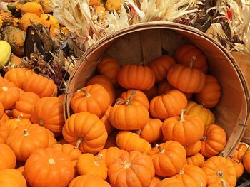 High angle view of pumpkins for sale at market stall