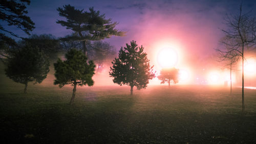 Silhouette trees on field against sky at sunset