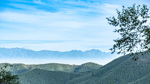mountain