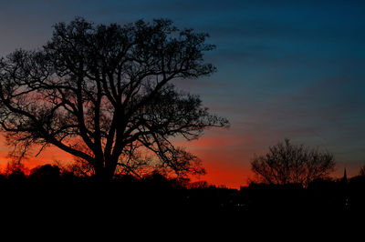 Silhouette tree against sky during sunset