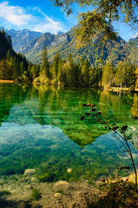 Scenic view of lake by trees against sky